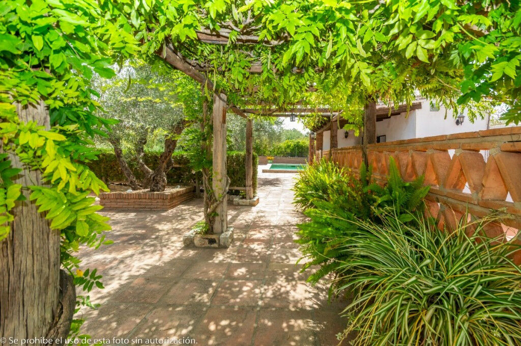 Finca - Cortijo Alhaurín de la Torre Málaga - image 41