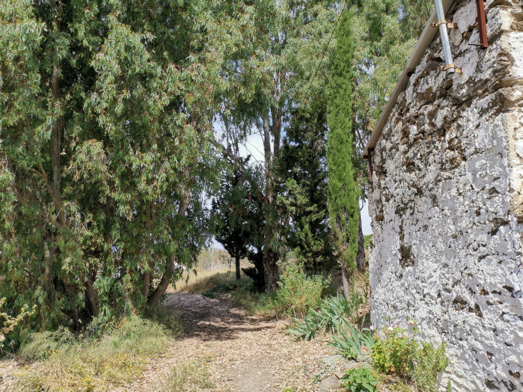 Finca - Cortijo Triana Málaga - image 41