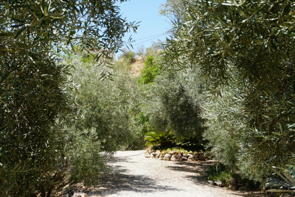 Detached Villa Alcaucín Málaga - image 43