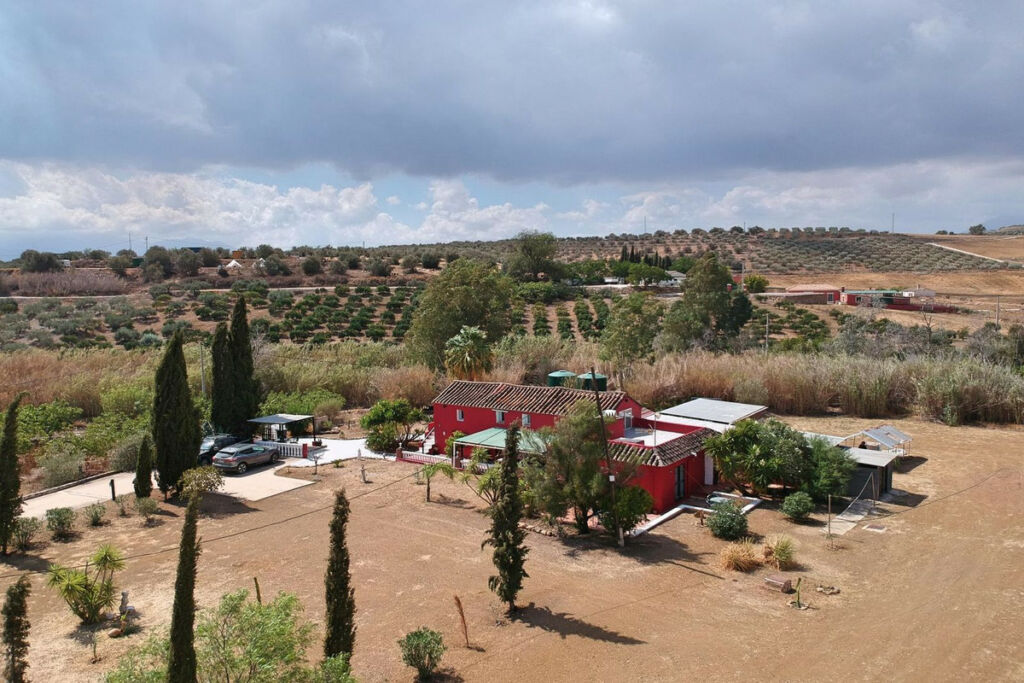 Finca - Cortijo Coín Málaga - image 43