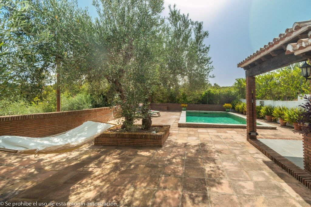 Finca - Cortijo Alhaurín de la Torre Málaga - image 43