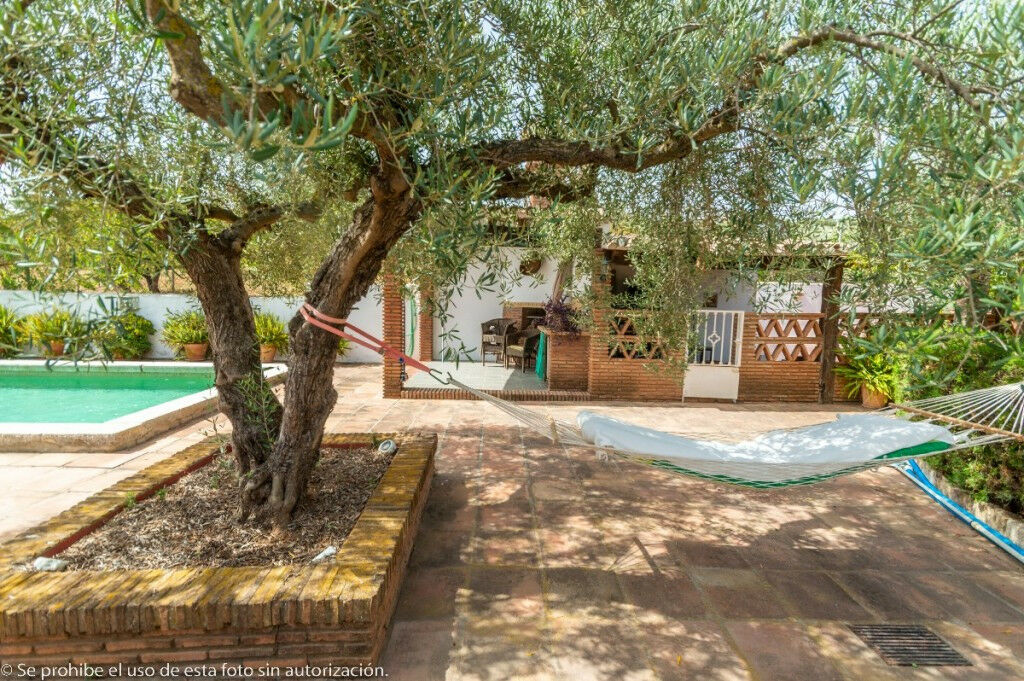 Finca - Cortijo Alhaurín de la Torre Málaga - image 44