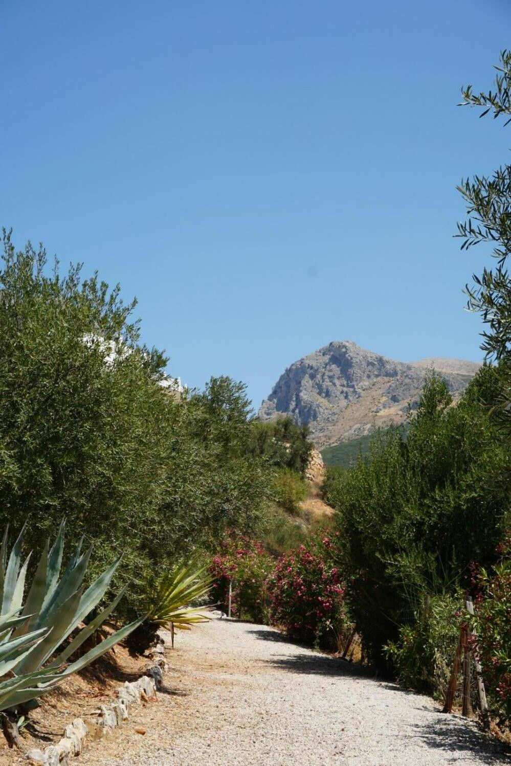 Detached Villa Alcaucín Málaga - image 44