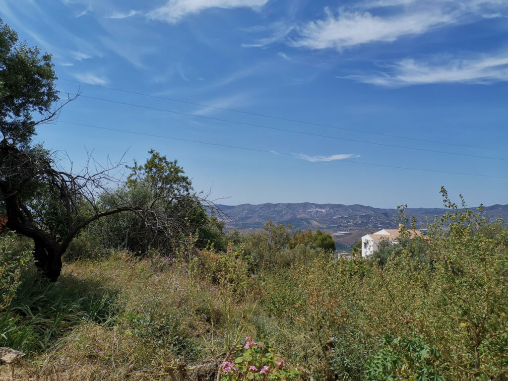 Finca - Cortijo Triana Málaga - image 43