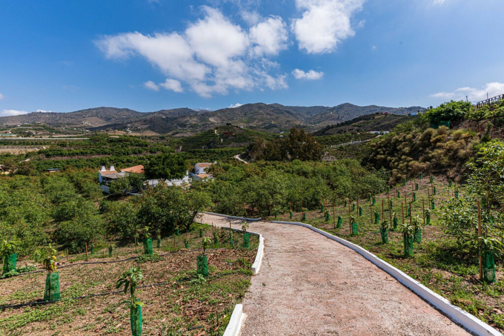Finca - Cortijo Vélez-Málaga Málaga - image 45
