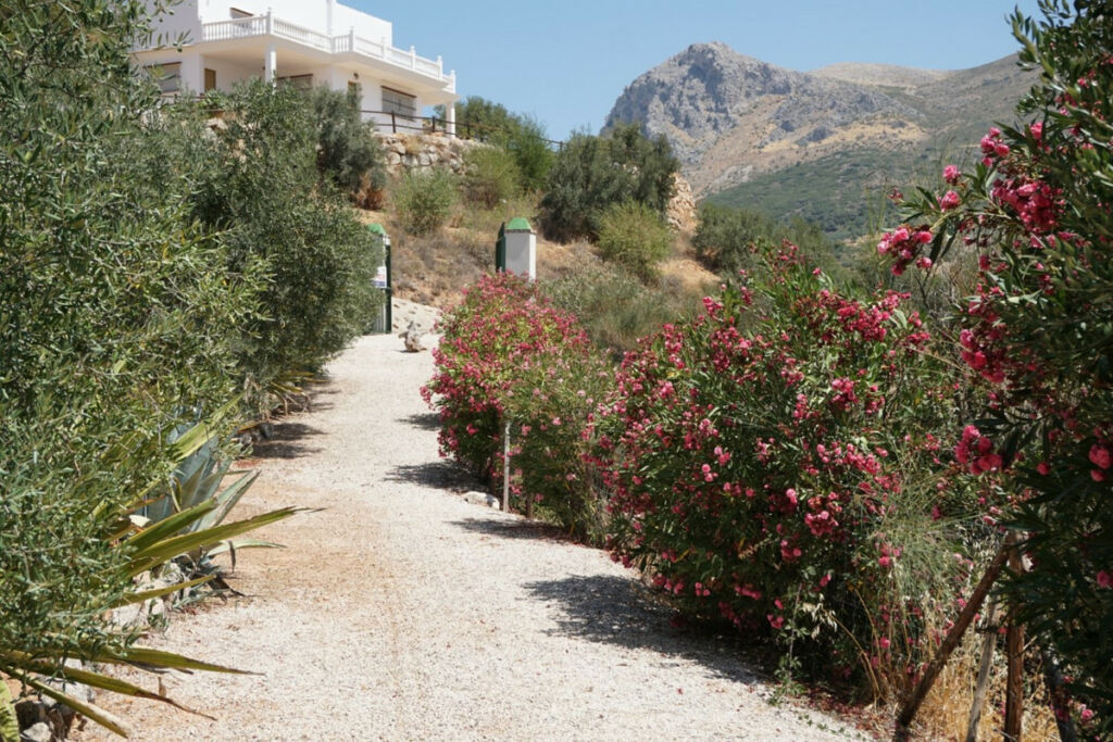 Detached Villa Alcaucín Málaga - image 46