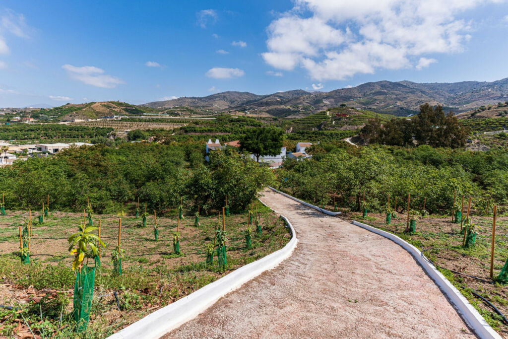 Finca - Cortijo Vélez-Málaga Málaga - image 46