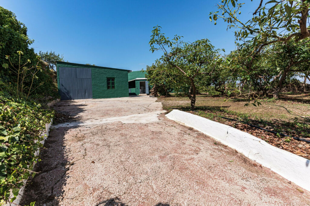 Finca - Cortijo Vélez-Málaga Málaga - image 48