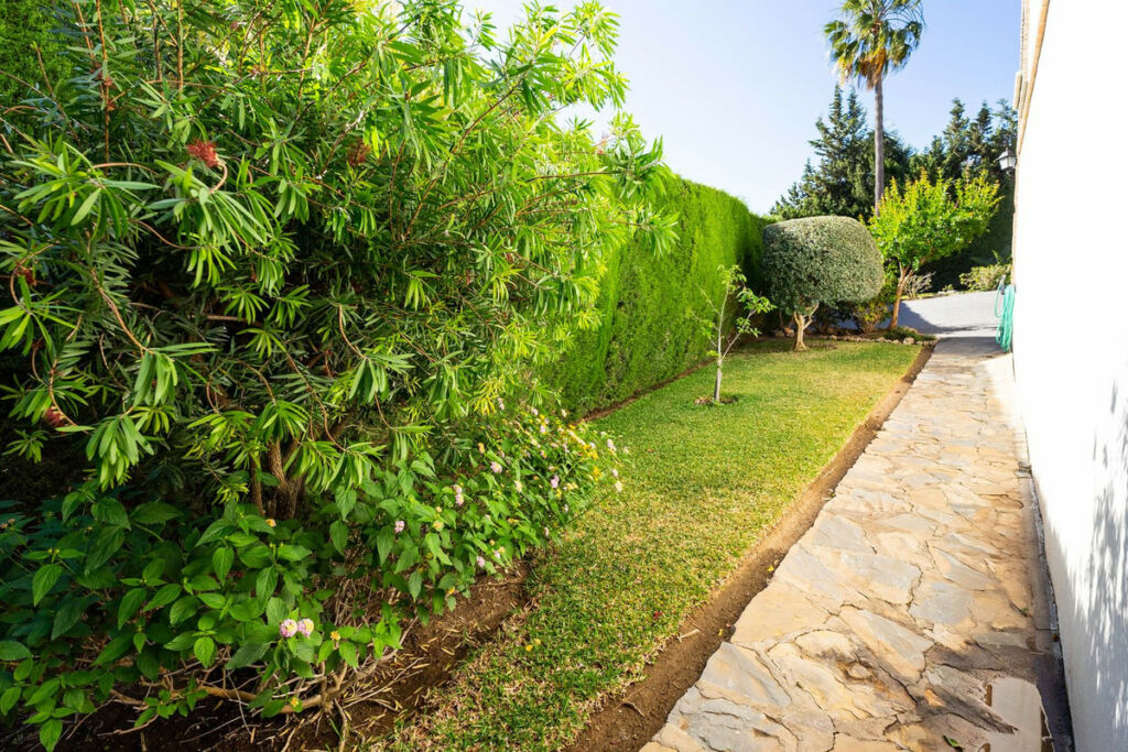 Detached Villa Mijas Málaga - image 49