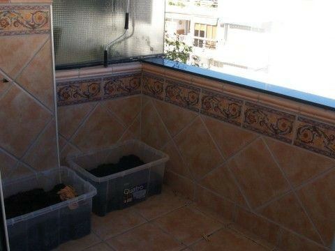 Middle Floor Apartment Torre del Mar Málaga - image 5