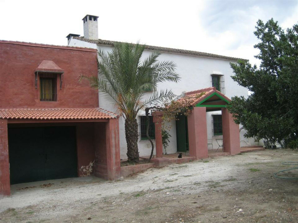 Finca - Cortijo Alcaucín Málaga - image 5