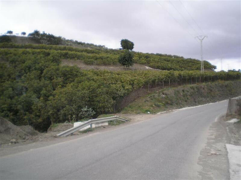 Land Vélez-Málaga Málaga - image 5