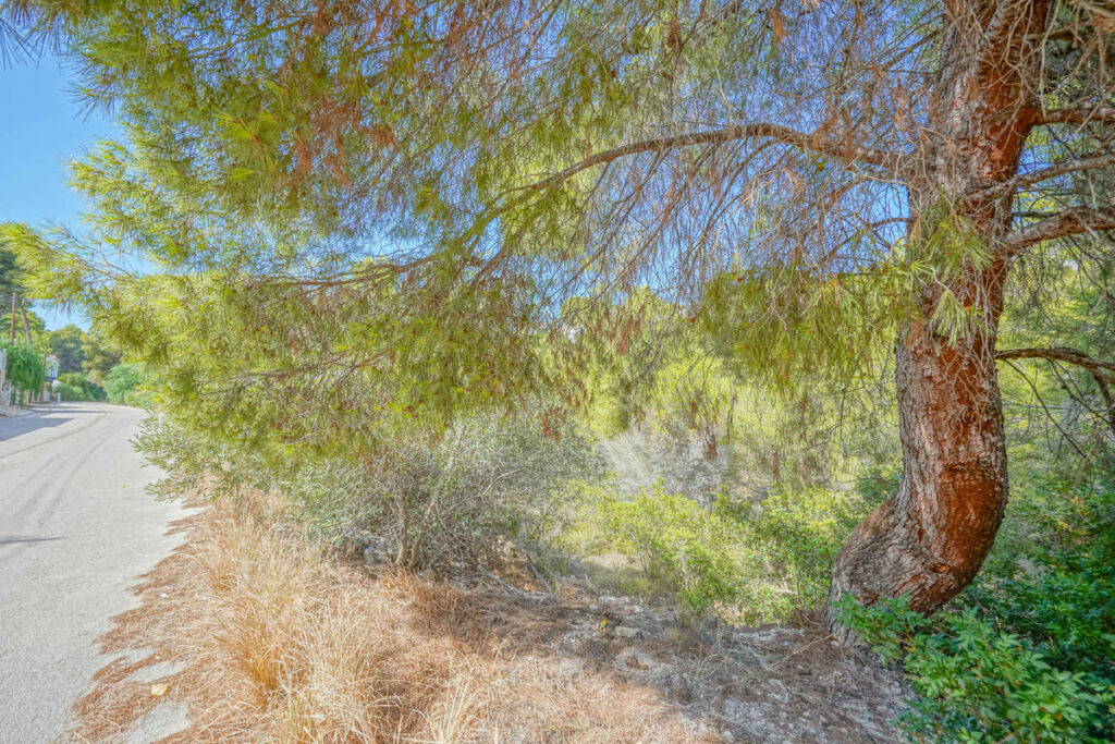 Land Benissa Alicante - image 5