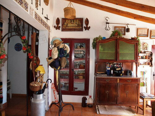 Finca - Cortijo Iznate Málaga - image 5