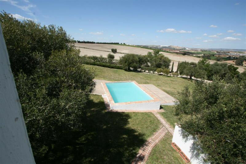Finca - Cortijo Arcos de la Frontera Cádiz - image 5