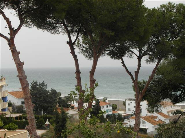 Detached Villa Benajarafe Málaga - image 5