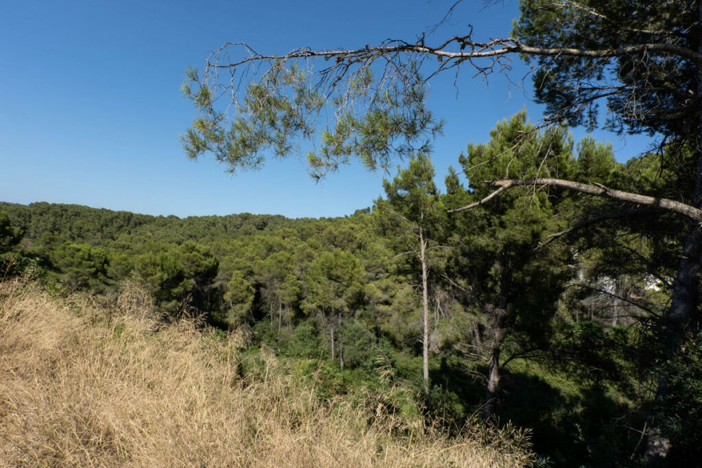 Land Javea Alicante - image 5