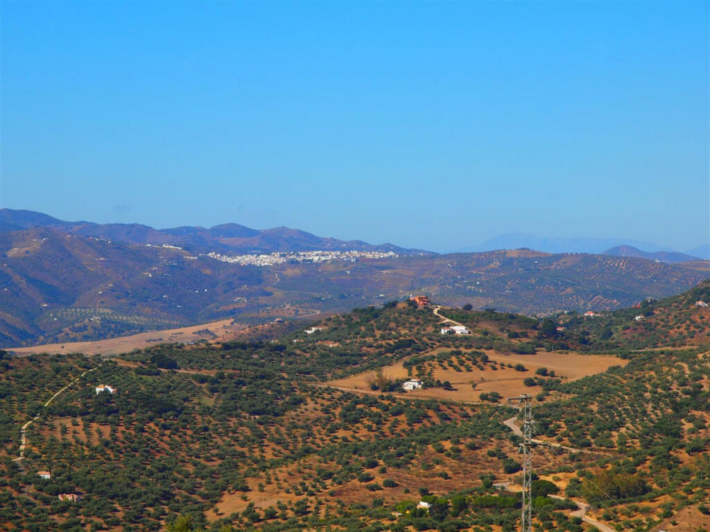 Finca - Cortijo Alfarnatejo Málaga - image 5