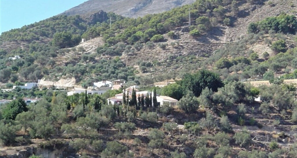 Detached Villa Canillas de Aceituno Málaga - image 5