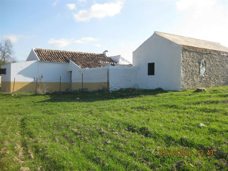Finca - Cortijo Arcos de la Frontera Cádiz - image 5