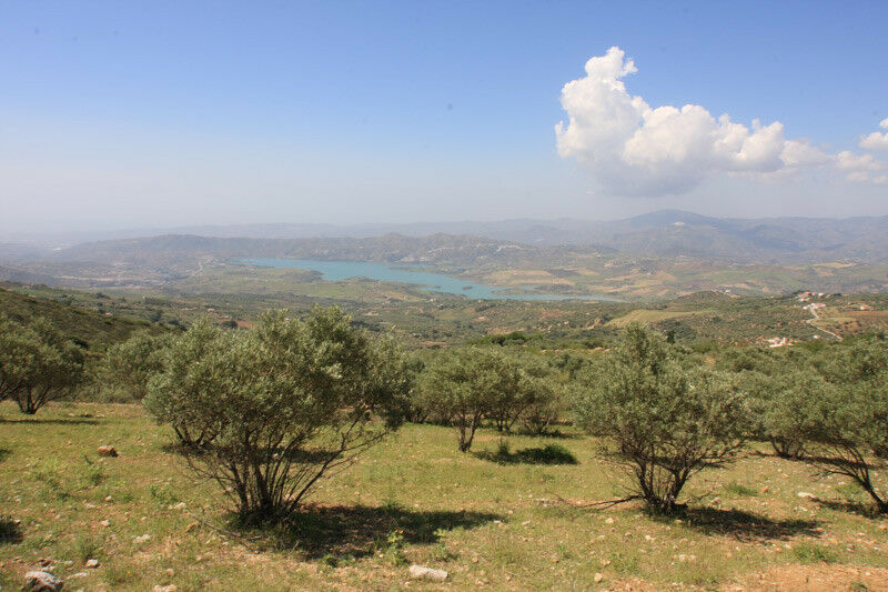 Land Periana Málaga - image 5