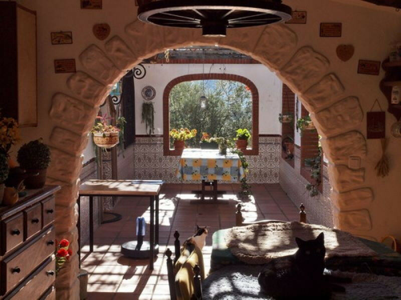 Detached Villa Alcaucín Málaga - Bild 5