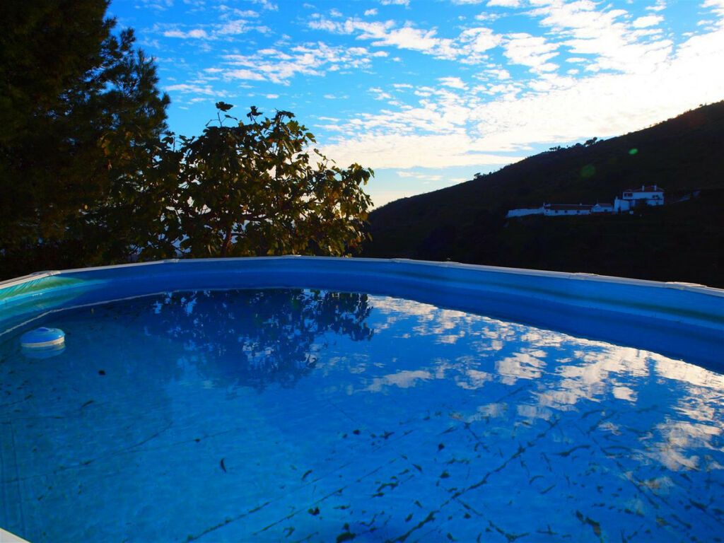 Finca - Cortijo Moclinejo Málaga - image 5