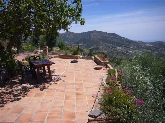 Finca - Cortijo Canillas de Albaida Málaga - image 5