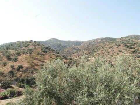 Detached Villa Arenas Málaga - Bild 5