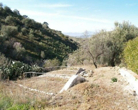Finca - Cortijo Canillas de Aceituno Málaga - image 5
