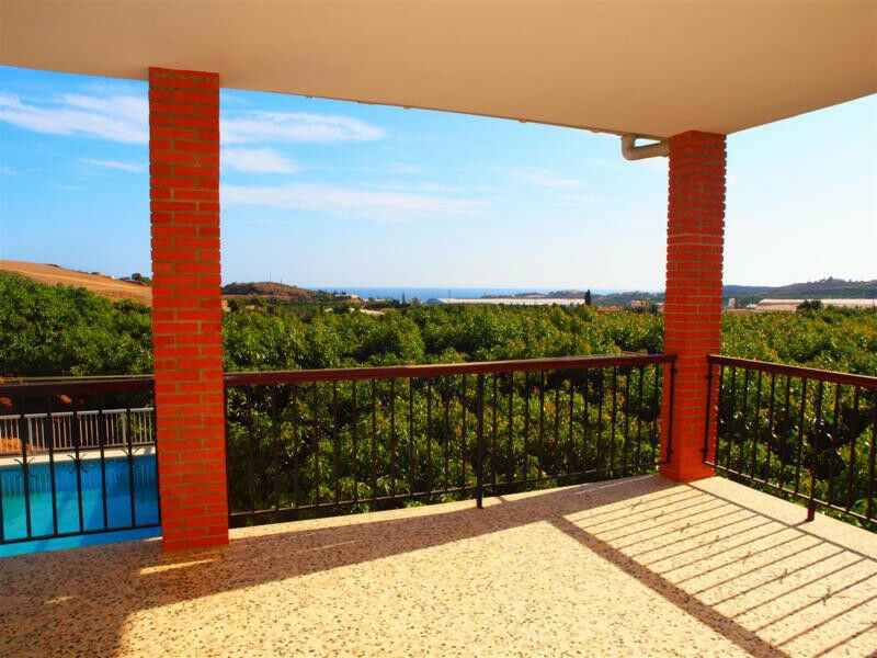 Finca - Cortijo Almayate Málaga - image 5