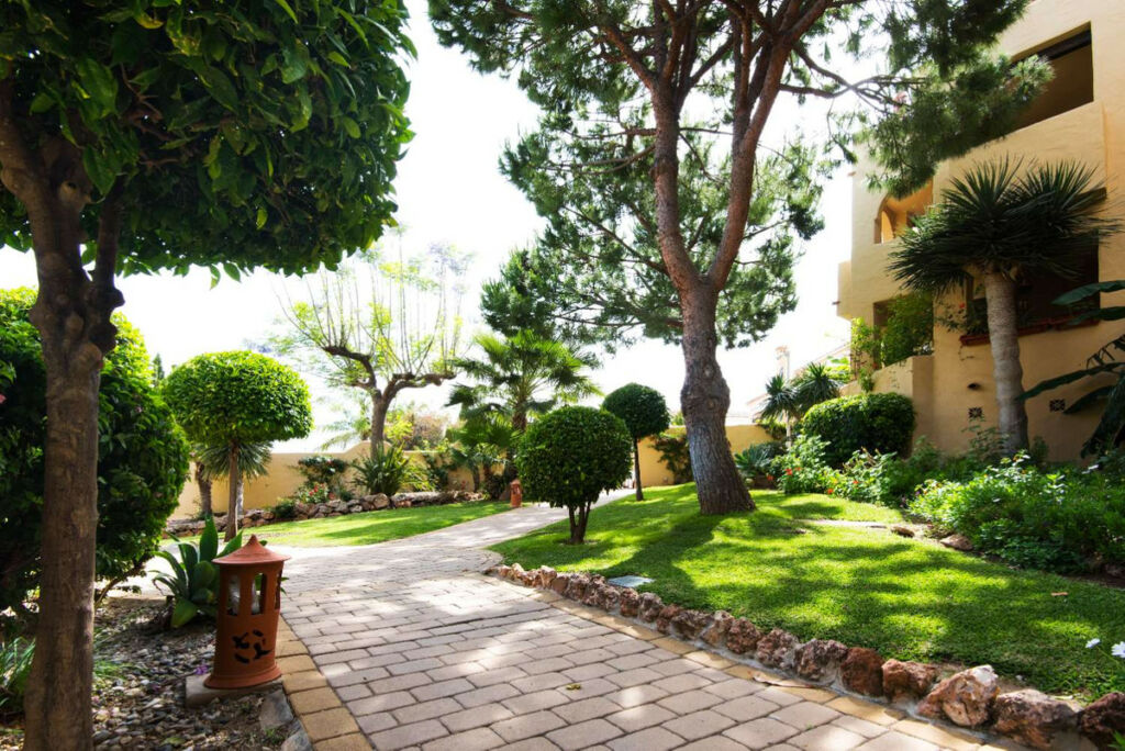 Middle Floor Apartment Benalmadena Málaga - image 5
