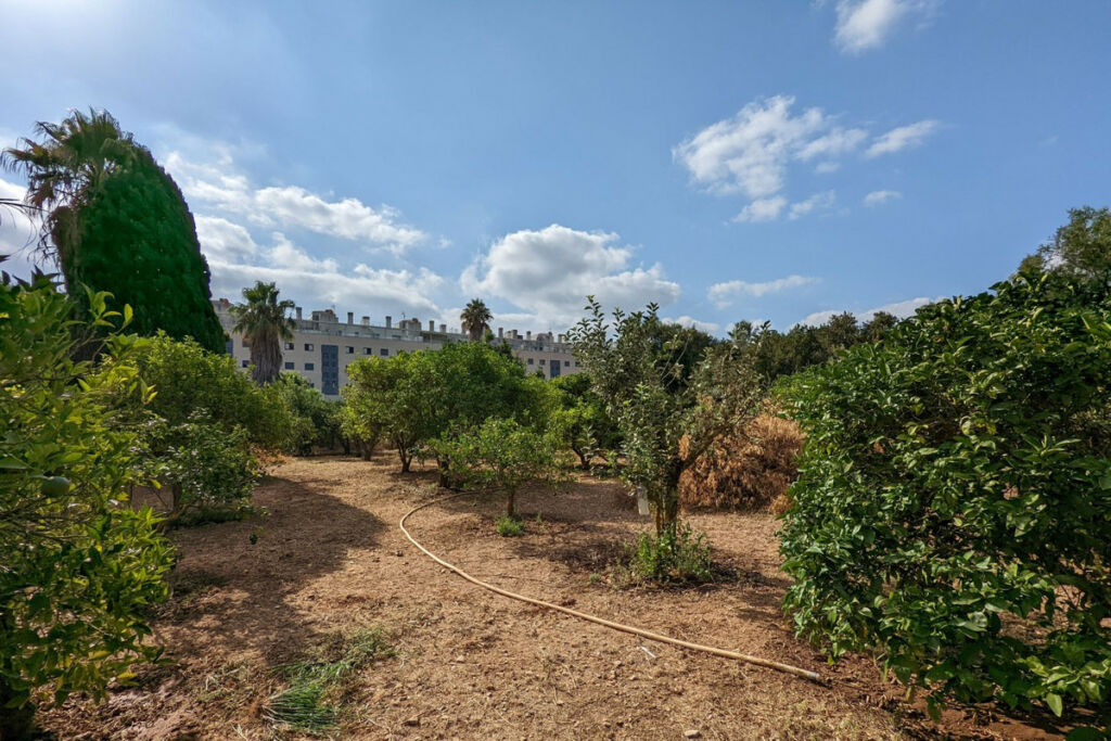 Residential Plot Denia Alicante - image 6