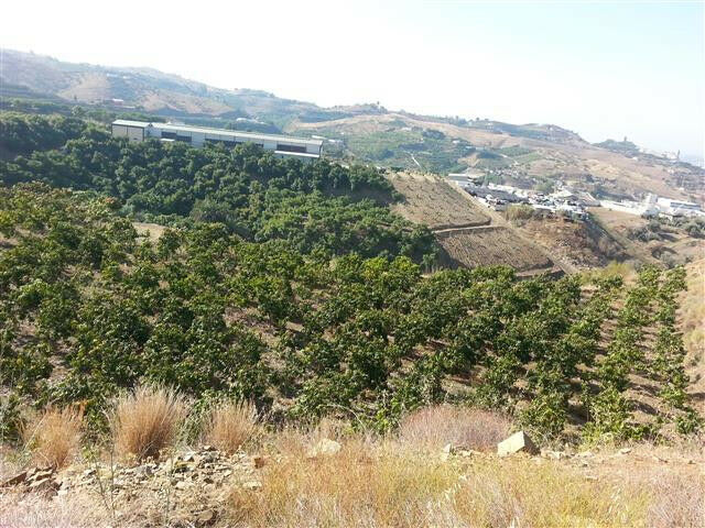 Land Arenas Málaga - image 5