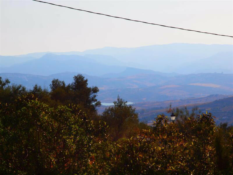 Finca - Cortijo Alcaucín Málaga - image 5