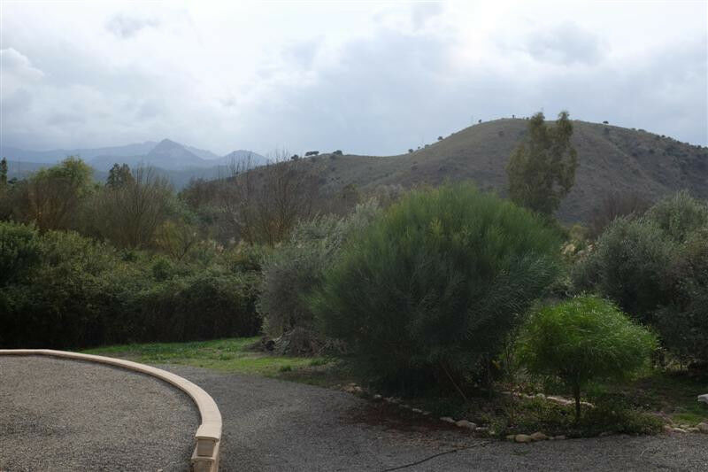 Finca - Cortijo Algodonales Cádiz - image 5