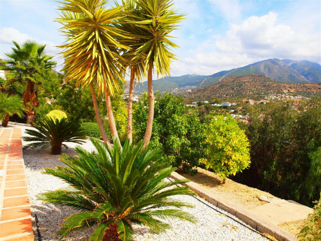 Detached Villa Viñuela Málaga - image 5