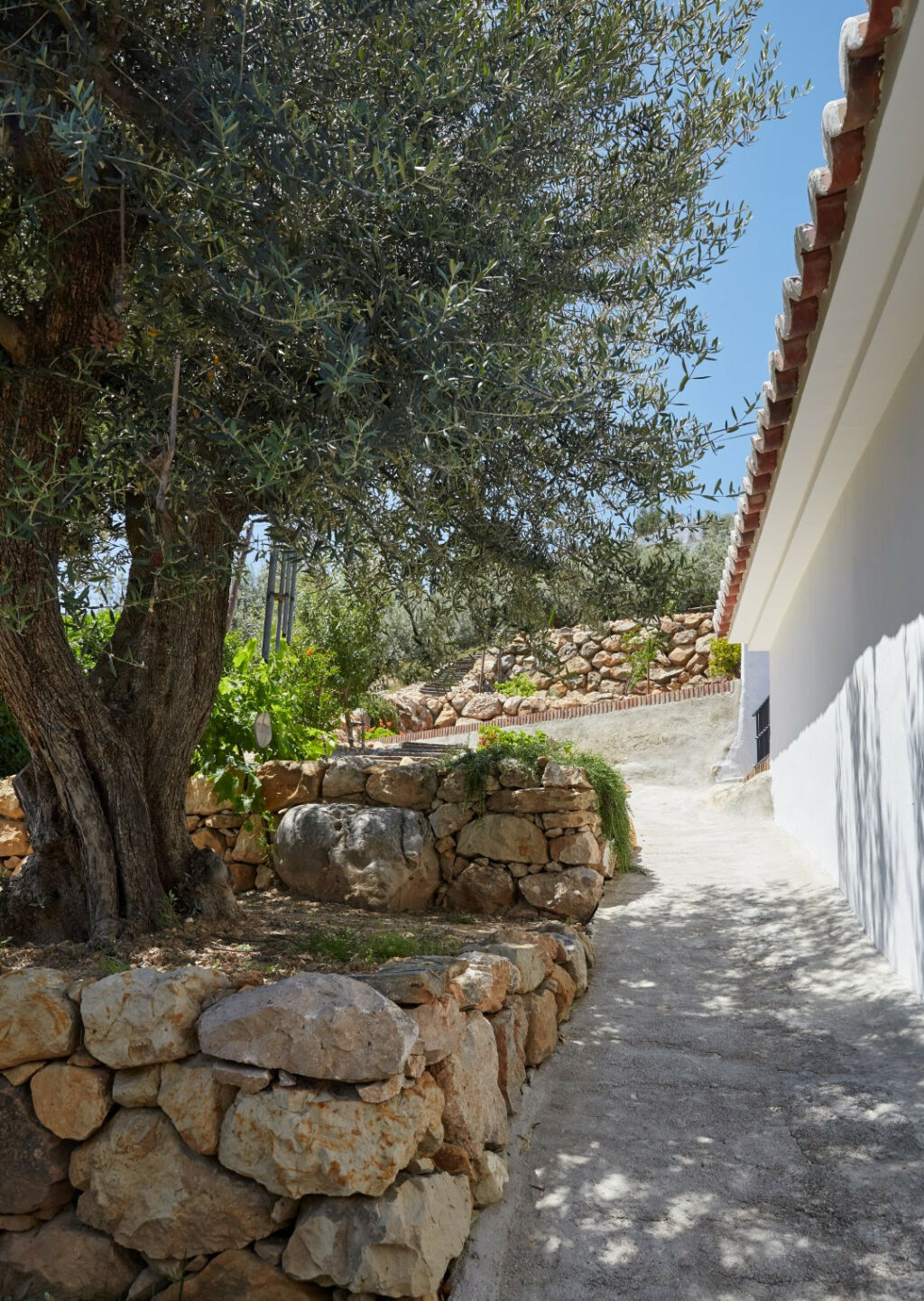 Finca - Cortijo Alcaucín Málaga - image 5