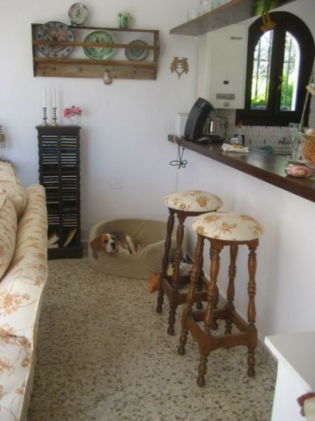 Detached Villa Benajarafe Málaga - image 5