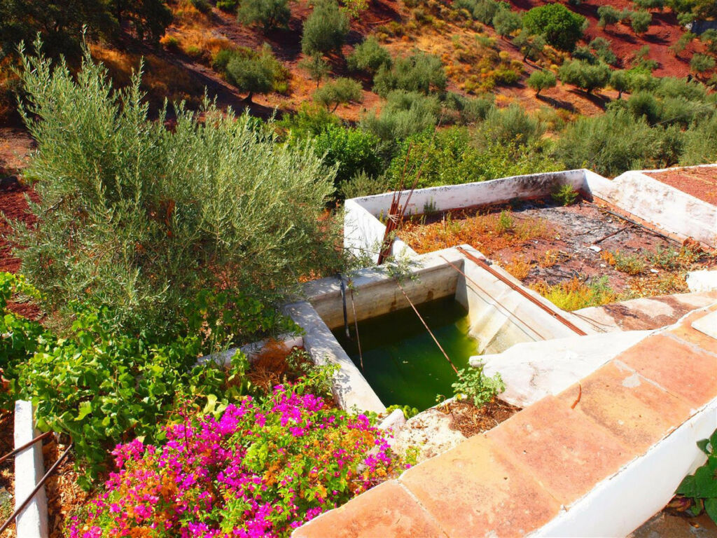 Finca - Cortijo Comares Málaga - image 5