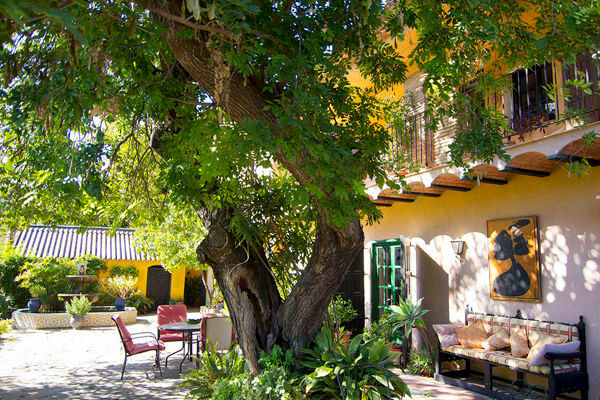 Finca - Cortijo Jimena de la Frontera Cádiz - image 5