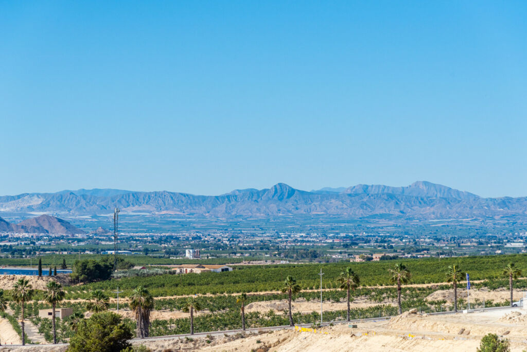 Detached Villa Algorfa Alicante - image 56