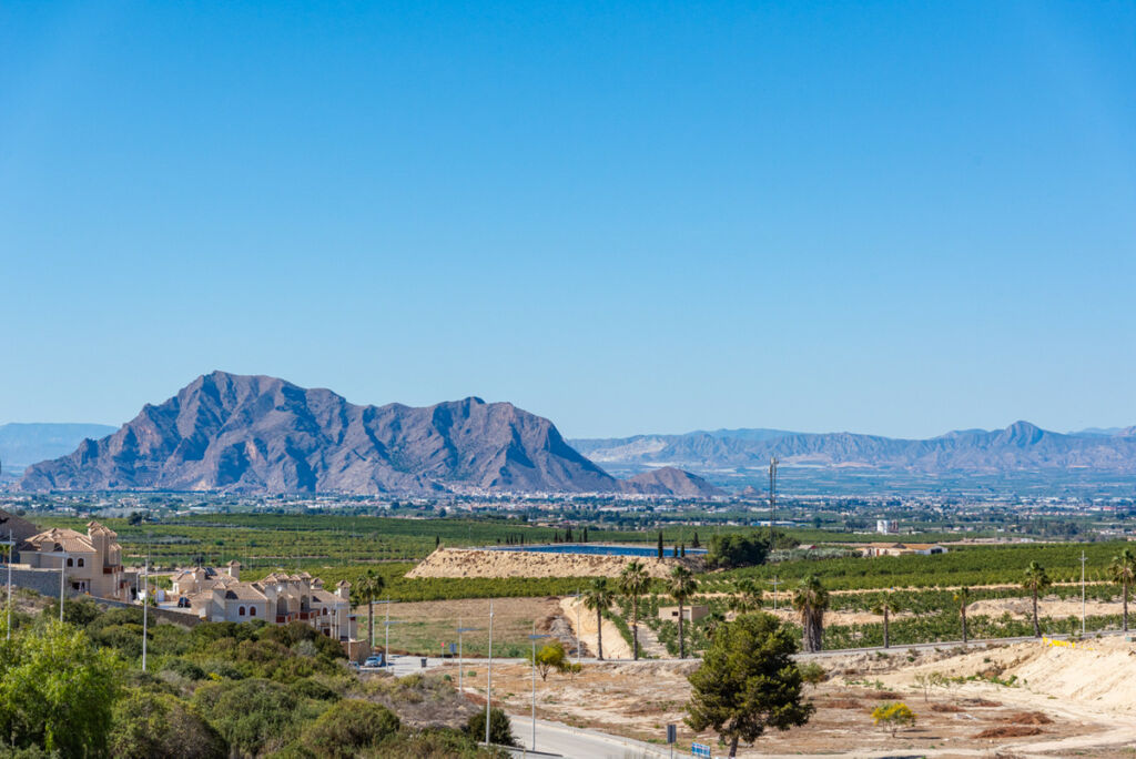 Detached Villa Algorfa Alicante - image 58