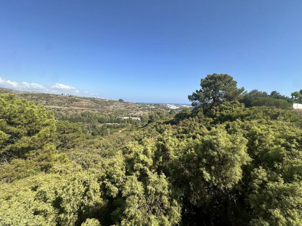 Land Benahavís Málaga - image 8