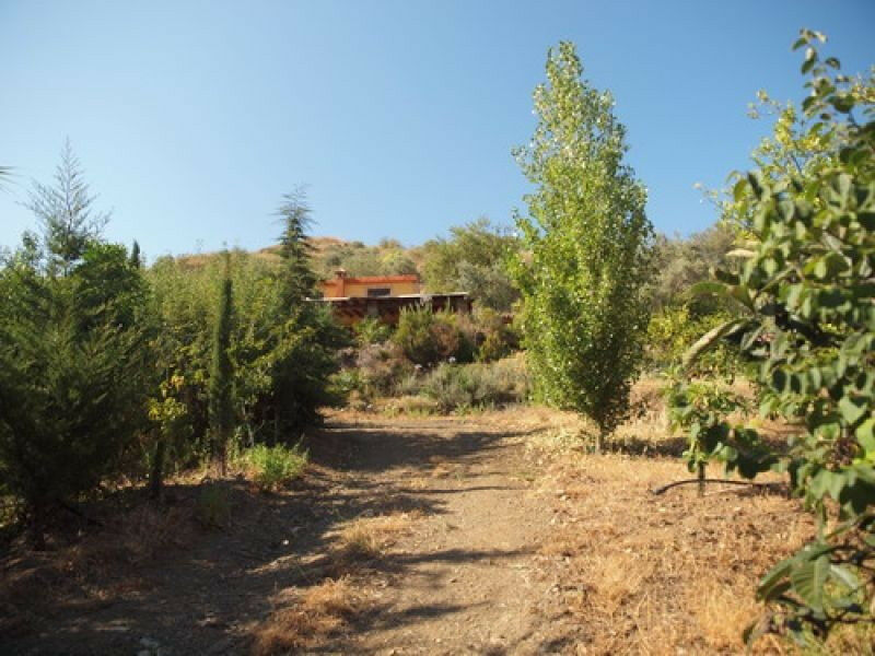 Detached Villa Benagalbon Málaga - image 6