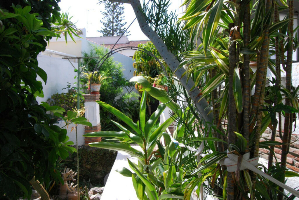 Detached Villa Nerja Málaga - image 6