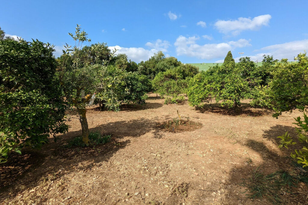 Residential Plot Denia Alicante - image 7