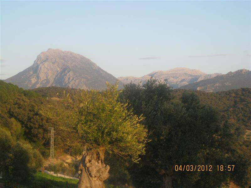 Finca - Cortijo Arcos de la Frontera Cádiz - image 6