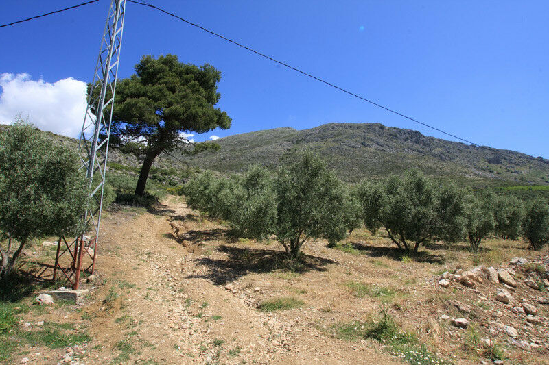 Land Periana Málaga - image 6