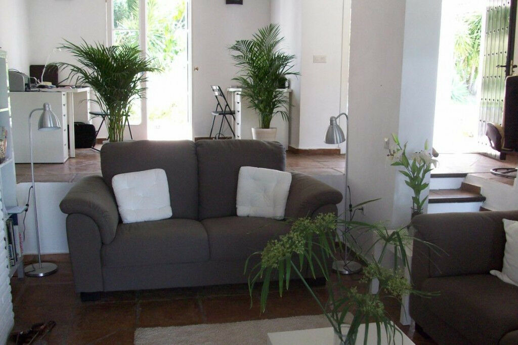 Finca - Cortijo Jimena de la Frontera Cádiz - image 6